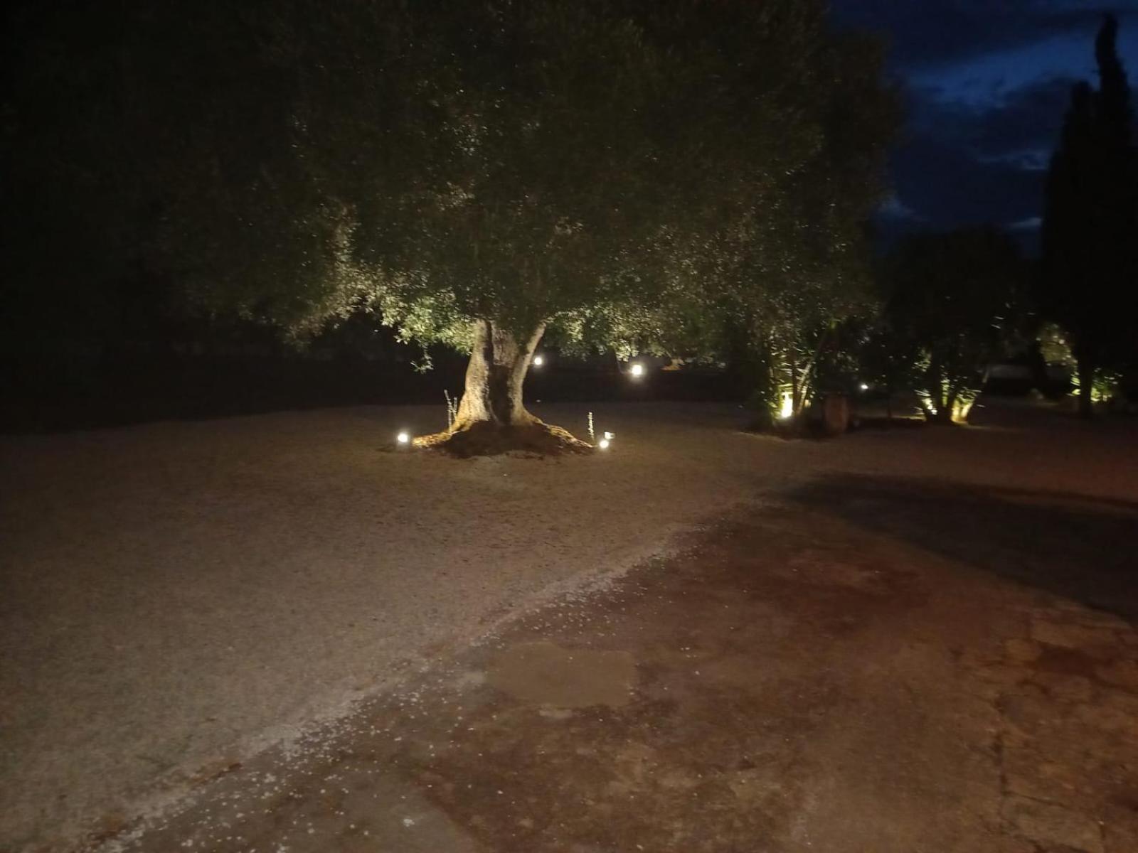 Casina Tra Gli Ulivi Villa Ostuni Buitenkant foto
